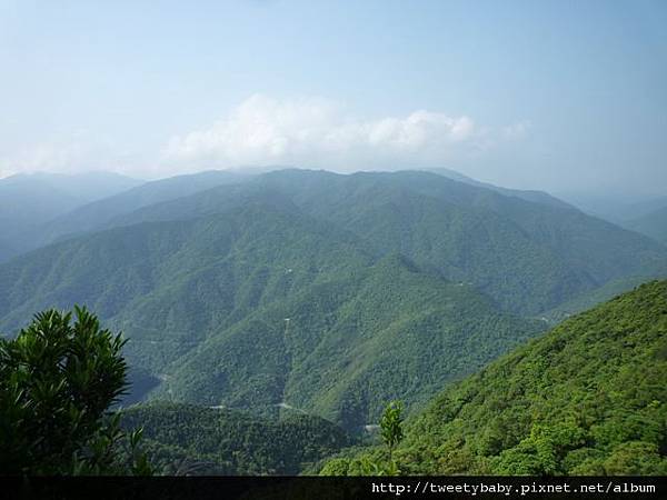 烏來山.大桶山.大桶山東峰 102