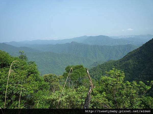 烏來山.大桶山.大桶山東峰 107