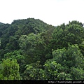 烏來山.大桶山.大桶山東峰 111