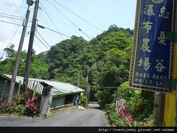 烏來山.大桶山.大桶山東峰 157