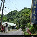 烏來山.大桶山.大桶山東峰 157