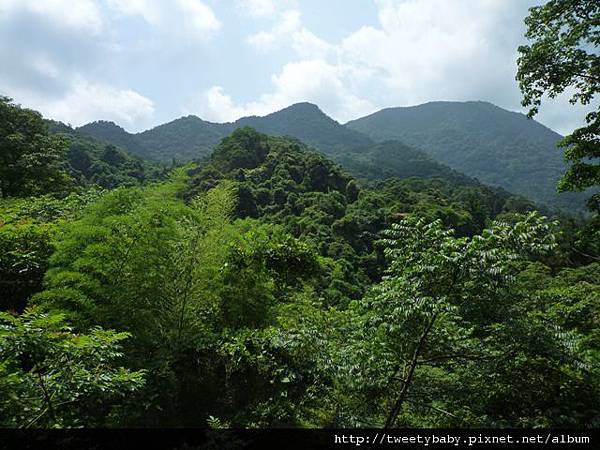 烏來山.大桶山.大桶山東峰 152