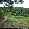 麗山峰.高工局基石FC134、135未遇 018