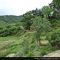 麗山峰.高工局基石FC134、135未遇 020