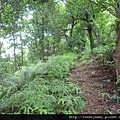 麗山峰.高工局基石FC134、135未遇 045