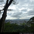 麗山峰.高工局基石FC134、135未遇 060