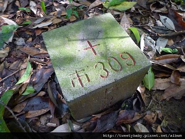 麗山峰.高工局基石FC134、135未遇 082