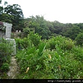 麗山峰.高工局基石FC134、135未遇 105