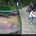 九五峰東北嶺.九五峰.南港山.北市地測精幹點340.植物園荷花.建中蔣公銅像 055