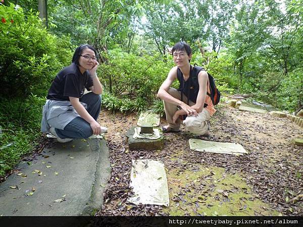 九五峰東北嶺.九五峰.南港山.北市地測精幹點340.植物園荷花.建中蔣公銅像 062