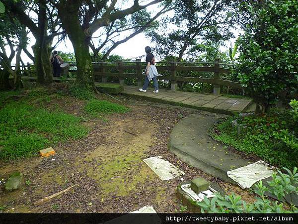 九五峰東北嶺.九五峰.南港山.北市地測精幹點340.植物園荷花.建中蔣公銅像 063