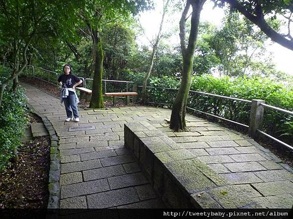 九五峰東北嶺.九五峰.南港山.北市地測精幹點340.植物園荷花.建中蔣公銅像 070