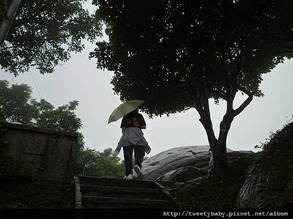 九五峰東北嶺.九五峰.南港山.北市地測精幹點340.植物園荷花.建中蔣公銅像 081