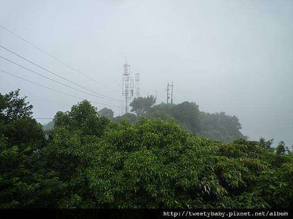 九五峰東北嶺.九五峰.南港山.北市地測精幹點340.植物園荷花.建中蔣公銅像 085