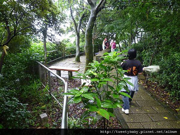 九五峰東北嶺.九五峰.南港山.北市地測精幹點340.植物園荷花.建中蔣公銅像 106