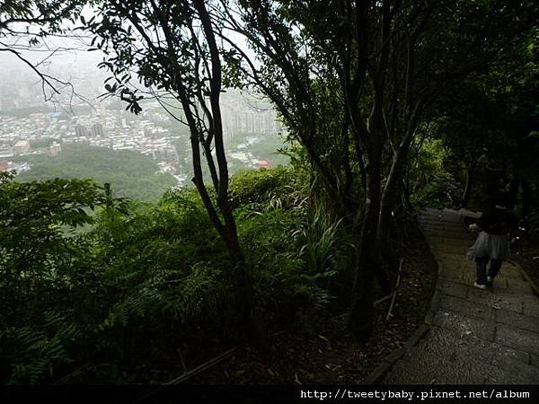 九五峰東北嶺.九五峰.南港山.北市地測精幹點340.植物園荷花.建中蔣公銅像 112