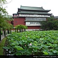 九五峰東北嶺.九五峰.南港山.北市地測精幹點340.植物園荷花.建中蔣公銅像 142