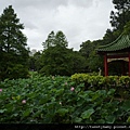 九五峰東北嶺.九五峰.南港山.北市地測精幹點340.植物園荷花.建中蔣公銅像 143