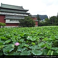 九五峰東北嶺.九五峰.南港山.北市地測精幹點340.植物園荷花.建中蔣公銅像 145