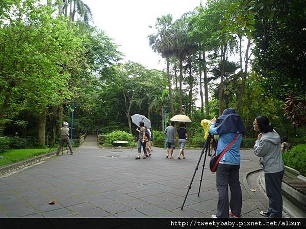 植物園、建中蔣公銅像2 049