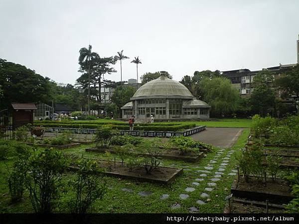 植物園、建中蔣公銅像2 050