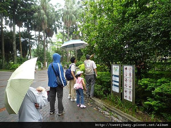 植物園、建中蔣公銅像2 068