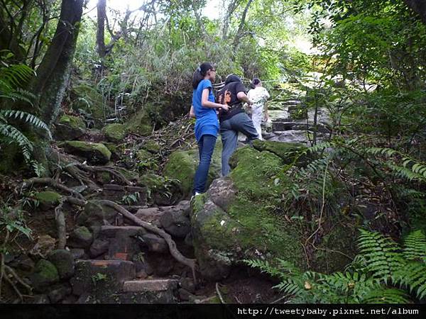 拇指山全家福 073