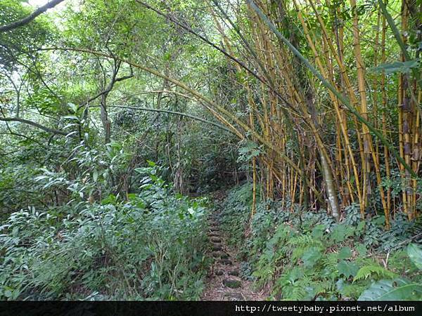 拇指山全家福 096