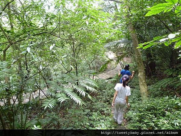 拇指山全家福 098