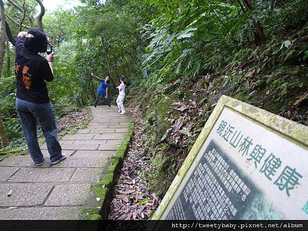 拇指山全家福 100