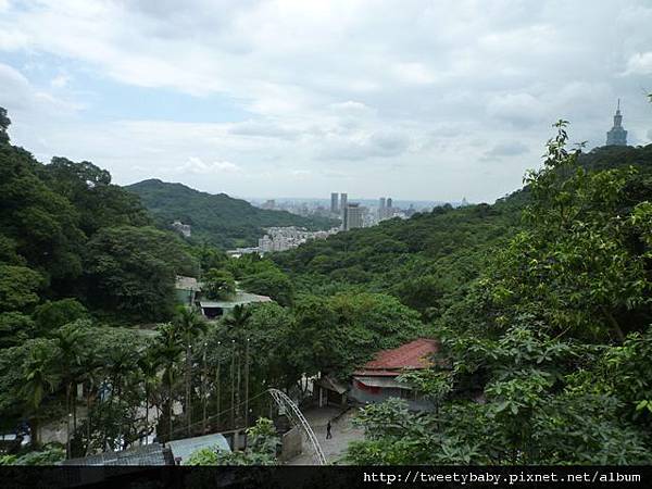 拇指山全家福 105