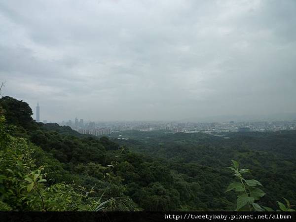 茅草埔山.四分里山.北市地測08未遇 024