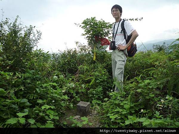 茅草埔山.四分里山.北市地測08未遇 030