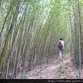 茅草埔山.四分里山.北市地測08未遇 043