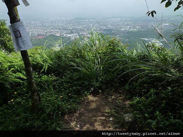 茅草埔山.四分里山.北市地測08未遇 057