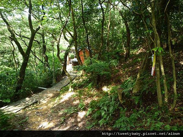 茅草埔山.四分里山.北市地測08未遇 075