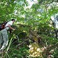 三秀山基石.新山.夢湖.聯勤測量隊陸檢8934號一等水準點 084