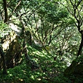 三秀山基石.新山.夢湖.聯勤測量隊陸檢8934號一等水準點 098