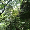 三秀山基石.新山.夢湖.聯勤測量隊陸檢8934號一等水準點 100