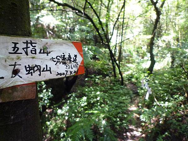 三秀山基石.新山.夢湖.聯勤測量隊陸檢8934號一等水準點 164