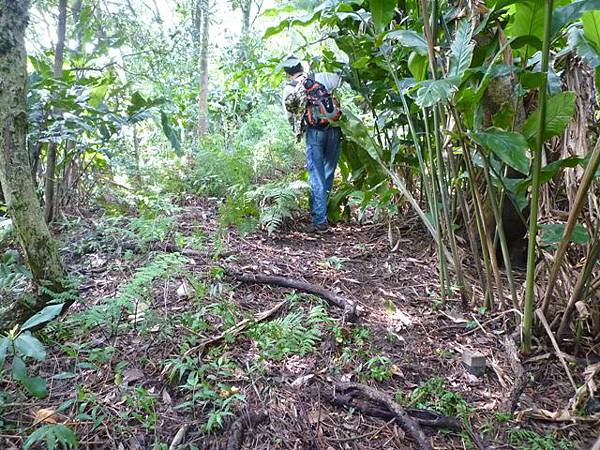 四分子山北市地測6基石未遇、地測428圖根點 034