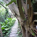 假山市474未遇.金包里山.磺港山.月眉福德堂礦務課898基石、241號水準點 174