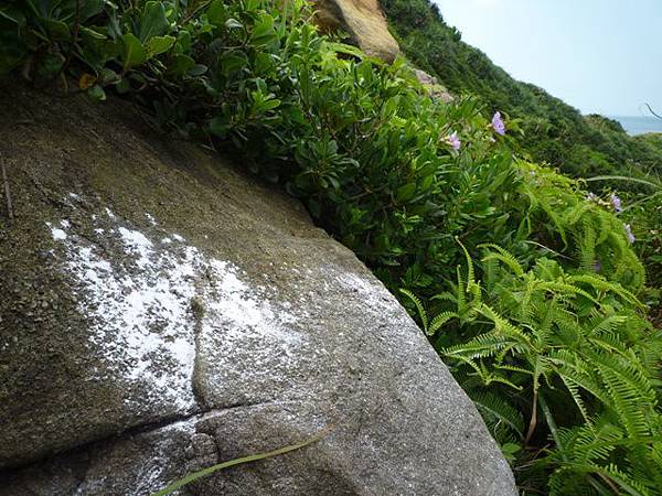 假山市474未遇.金包里山.磺港山.月眉福德堂礦務課898基石、241號水準點 181