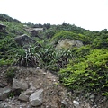 假山市474未遇.金包里山.磺港山.月眉福德堂礦務課898基石、241號水準點 184