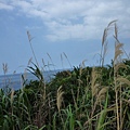 假山市474未遇.金包里山.磺港山.月眉福德堂礦務課898基石、241號水準點 200