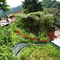 青潭水源12.青潭水源10.永安景觀步道.八卦茶園.塗潭崙.竹筏碼頭.雷公埤山 022