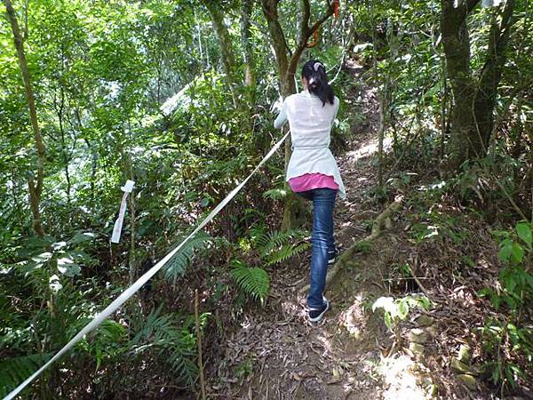 青潭水源12.青潭水源10.永安景觀步道.八卦茶園.塗潭崙.竹筏碼頭.雷公埤山 038