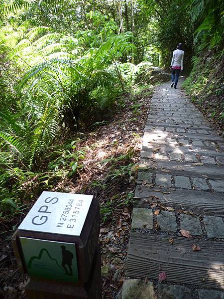 青潭水源12.青潭水源10.永安景觀步道.八卦茶園.塗潭崙.竹筏碼頭.雷公埤山 113