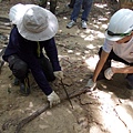 大崙尾山米粉道手作步道 170