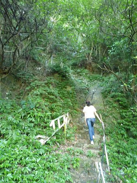 南港山攀岩步道 037